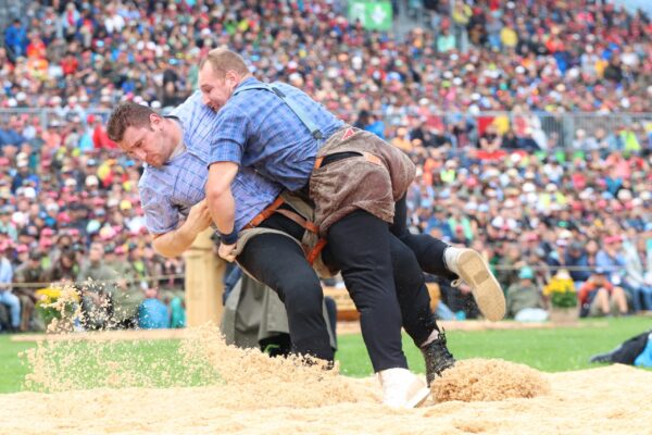 Orlik Armon - Wicki Joel